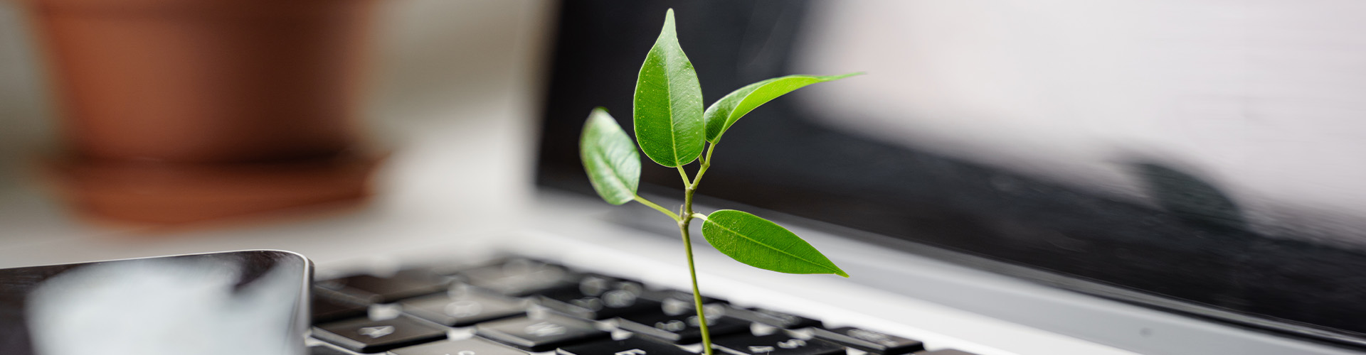 Transformation der Beschaffung im Sinne der Nachhaltigkeit
Unsere Lösungen sind eine Verpflichtung zu einer grüneren, nachhaltigeren Zukunft für Ihr Unternehmen. Verbessern Sie Ihre Beschaffungsprozesse mit uns, und lassen Sie uns gemeinsam eine bessere Welt gestalten.