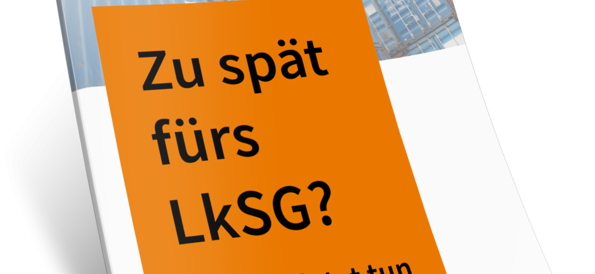 Zu Spät Fürs LkSG